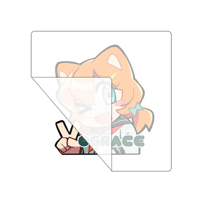 Custom Transfer Stickers - Image 7